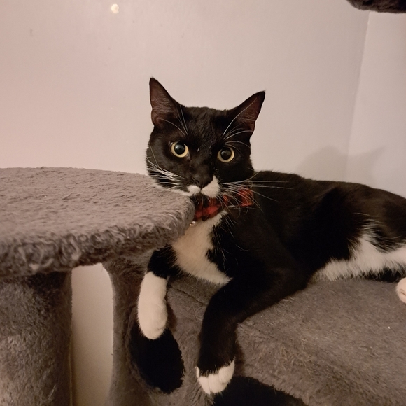 Meet your Posher, Melissa - Picture 2 of 7